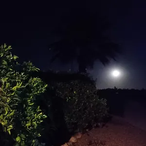  Сasa de vacaciones La Buganvilla, Descanso Entre Olivares